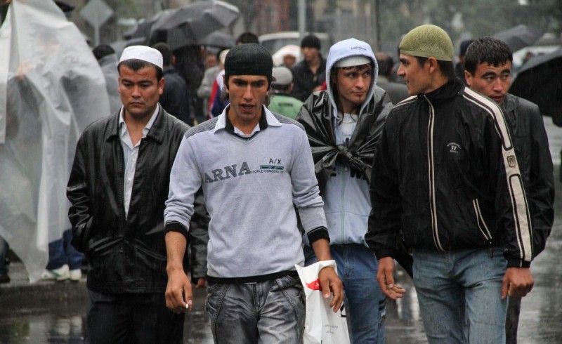 В России безработным мигрантам предложили работу